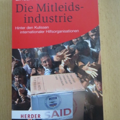 Die Mitleidsindustrie - Linda Pohlmann